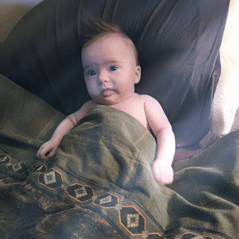 Kaleia